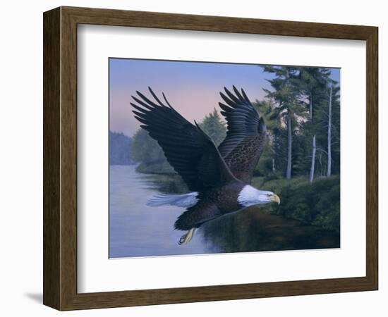 Eagle Soaring-Rusty Frentner-Framed Giclee Print