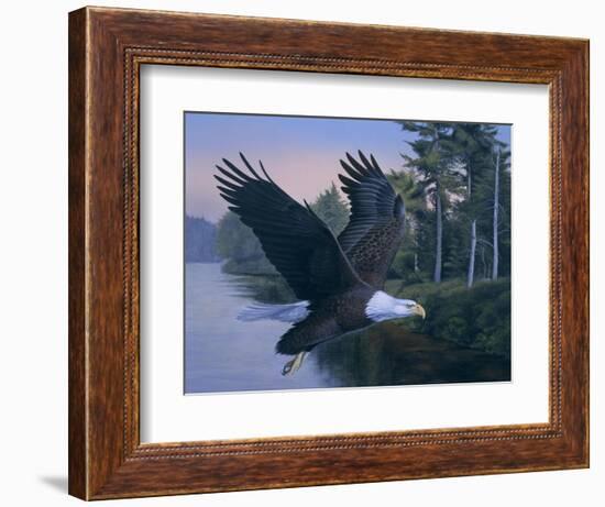 Eagle Soaring-Rusty Frentner-Framed Giclee Print