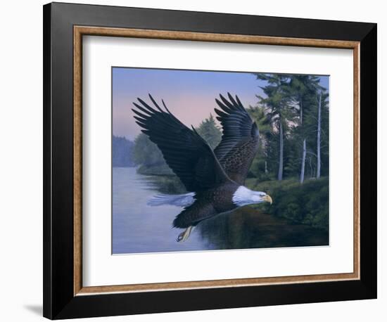 Eagle Soaring-Rusty Frentner-Framed Giclee Print