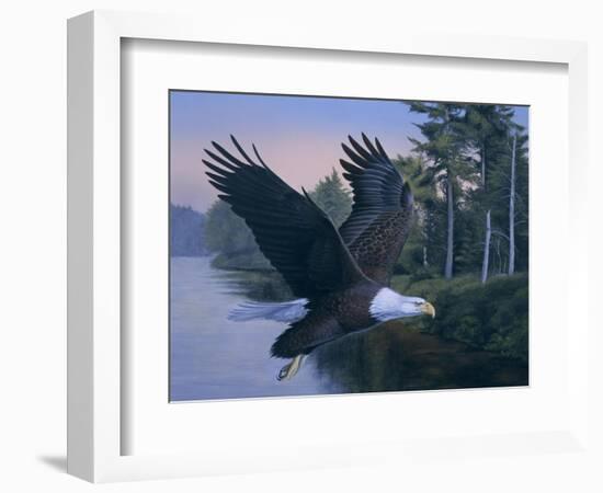 Eagle Soaring-Rusty Frentner-Framed Giclee Print