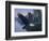 Eagle Soaring-Rusty Frentner-Framed Giclee Print