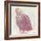 Eagle - Soft-Staffan Widstrand-Framed Giclee Print