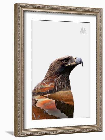 Eagle-PhotoINC-Framed Art Print