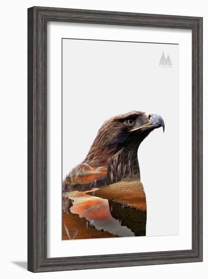 Eagle-PhotoINC-Framed Art Print