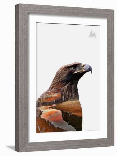 Eagle-PhotoINC-Framed Art Print