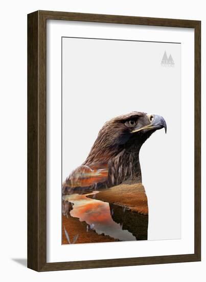 Eagle-PhotoINC-Framed Art Print