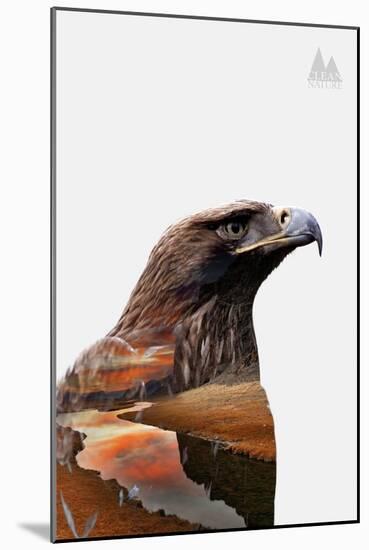 Eagle-PhotoINC-Mounted Art Print