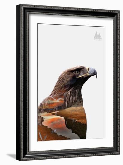 Eagle-PhotoINC-Framed Art Print