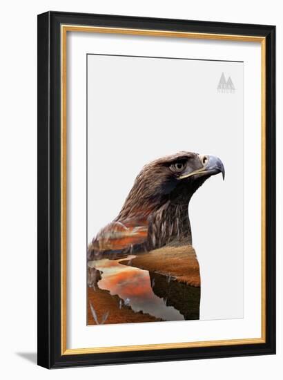 Eagle-PhotoINC-Framed Art Print