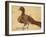 Eagle-Aristotle ibn Bakhtishu-Framed Giclee Print