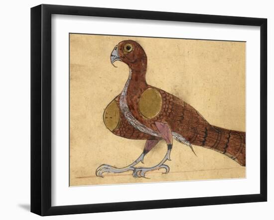 Eagle-Aristotle ibn Bakhtishu-Framed Giclee Print