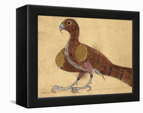 Eagle-Aristotle ibn Bakhtishu-Framed Premier Image Canvas