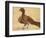 Eagle-Aristotle ibn Bakhtishu-Framed Giclee Print