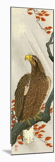 Eagle-Koson Ohara-Mounted Giclee Print