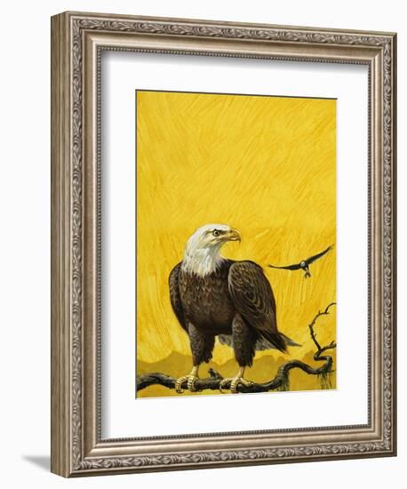 Eagle-English School-Framed Giclee Print