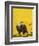 Eagle-English School-Framed Giclee Print