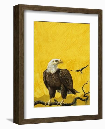 Eagle-English School-Framed Giclee Print