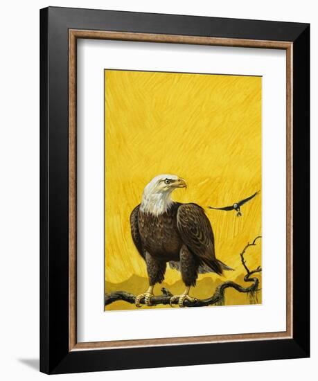 Eagle-English School-Framed Giclee Print