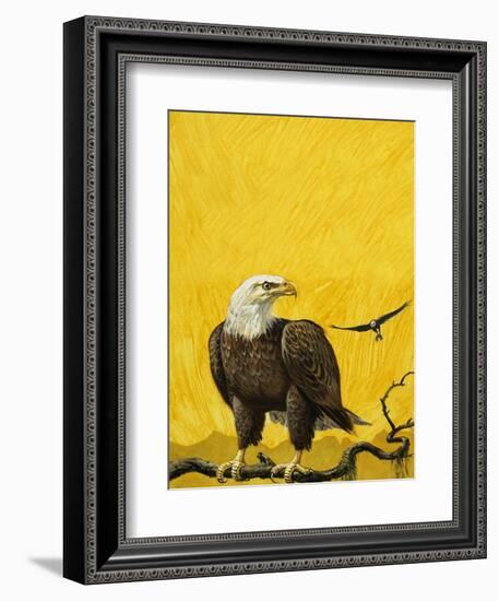 Eagle-English School-Framed Giclee Print