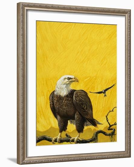 Eagle-English School-Framed Giclee Print