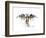 Eagles Become-Alex Cherry-Framed Premium Giclee Print