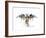 Eagles Become-Alex Cherry-Framed Art Print