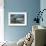 Eagles with Lighthouse-Kevin Daniel-Framed Giclee Print displayed on a wall