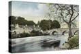 Stretched Canvas Print