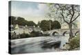 Stretched Canvas Print