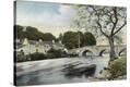 Stretched Canvas Print