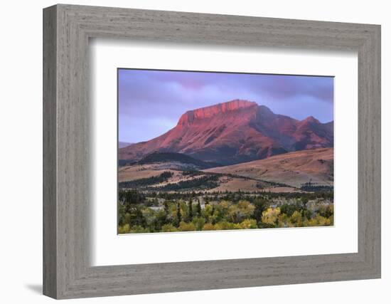 Ear Mountain at sunrise, Rocky Mountain front ranges near Choteau, Montana.-Alan Majchrowicz-Framed Photographic Print