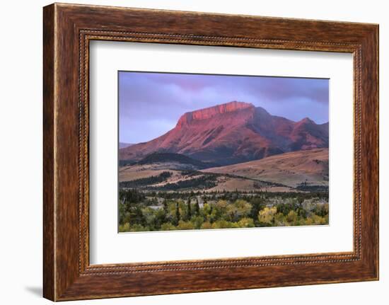 Ear Mountain at sunrise, Rocky Mountain front ranges near Choteau, Montana.-Alan Majchrowicz-Framed Photographic Print