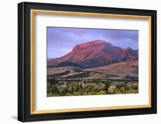 Ear Mountain at sunrise, Rocky Mountain front ranges near Choteau, Montana.-Alan Majchrowicz-Framed Photographic Print