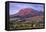 Ear Mountain at sunrise, Rocky Mountain front ranges near Choteau, Montana.-Alan Majchrowicz-Framed Premier Image Canvas