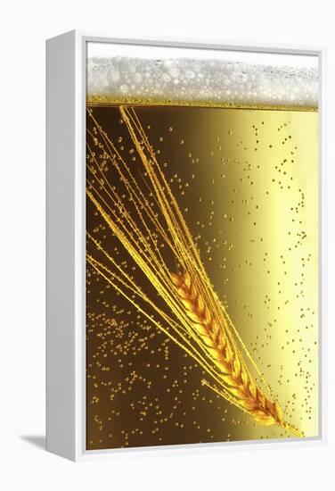 Ear of Barley in Beer (Close-Up)-Bodo A^ Schieren-Framed Premier Image Canvas