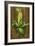 Ear of Corn-Gigi Begin-Framed Giclee Print