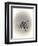 Ear We Go Again-Peggy Harris-Framed Giclee Print