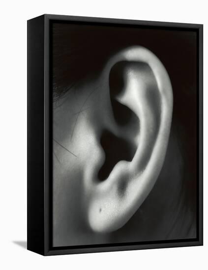 Ear-Cristina-Framed Premier Image Canvas