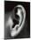 Ear-Cristina-Mounted Photographic Print