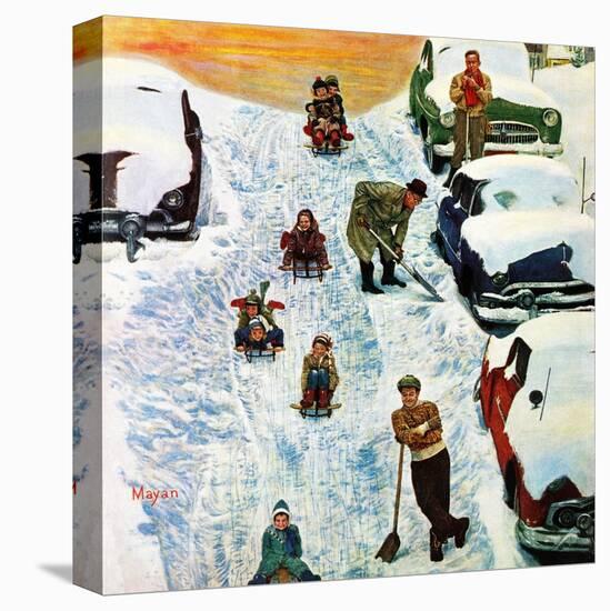 Stretched Canvas Print, , large
