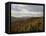 Earling Morning Landscape, Little Switzerland, Blue Ridge Parkway, USA-James Green-Framed Premier Image Canvas