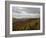 Earling Morning Landscape, Little Switzerland, Blue Ridge Parkway, USA-James Green-Framed Photographic Print