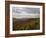 Earling Morning Landscape, Little Switzerland, Blue Ridge Parkway, USA-James Green-Framed Photographic Print