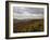 Earling Morning Landscape, Little Switzerland, Blue Ridge Parkway, USA-James Green-Framed Photographic Print