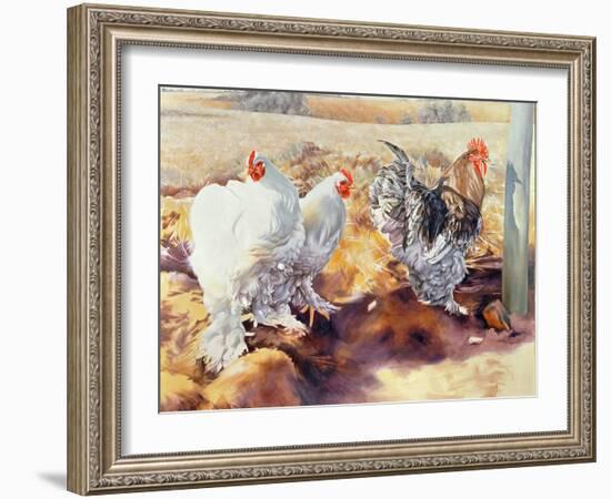 Earls Grove, 1995-Sandra Lawrence-Framed Giclee Print