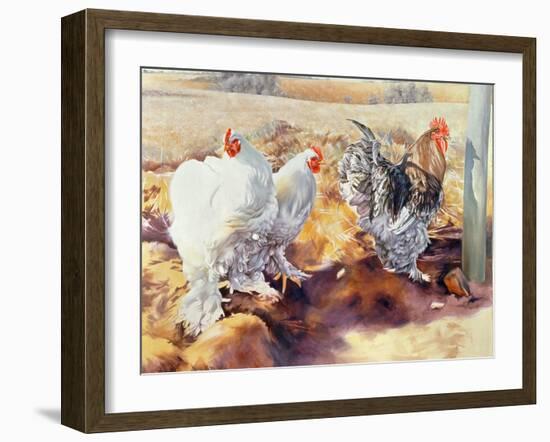 Earls Grove, 1995-Sandra Lawrence-Framed Giclee Print