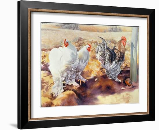 Earls Grove, 1995-Sandra Lawrence-Framed Giclee Print