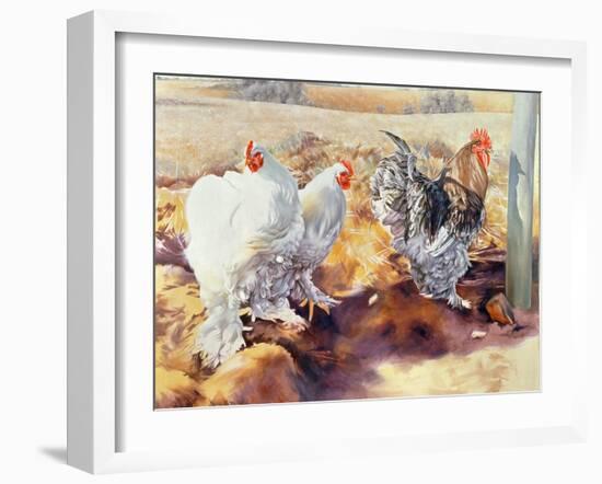 Earls Grove, 1995-Sandra Lawrence-Framed Giclee Print