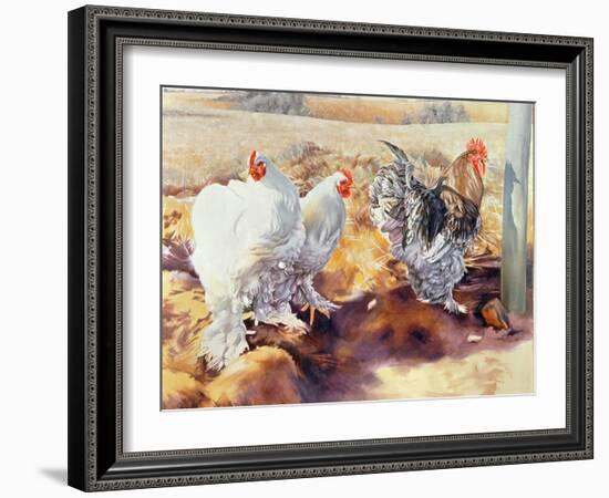 Earls Grove, 1995-Sandra Lawrence-Framed Giclee Print