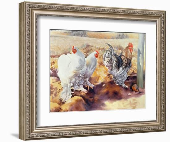 Earls Grove, 1995-Sandra Lawrence-Framed Giclee Print